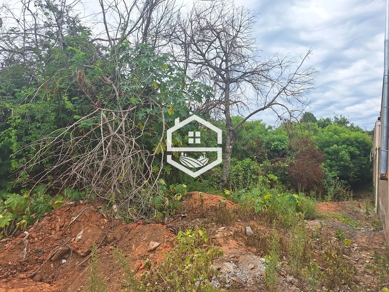 TERRENO ÚNICO NA CIDADE!: 2ª foto da galeria de imagens do imóvel