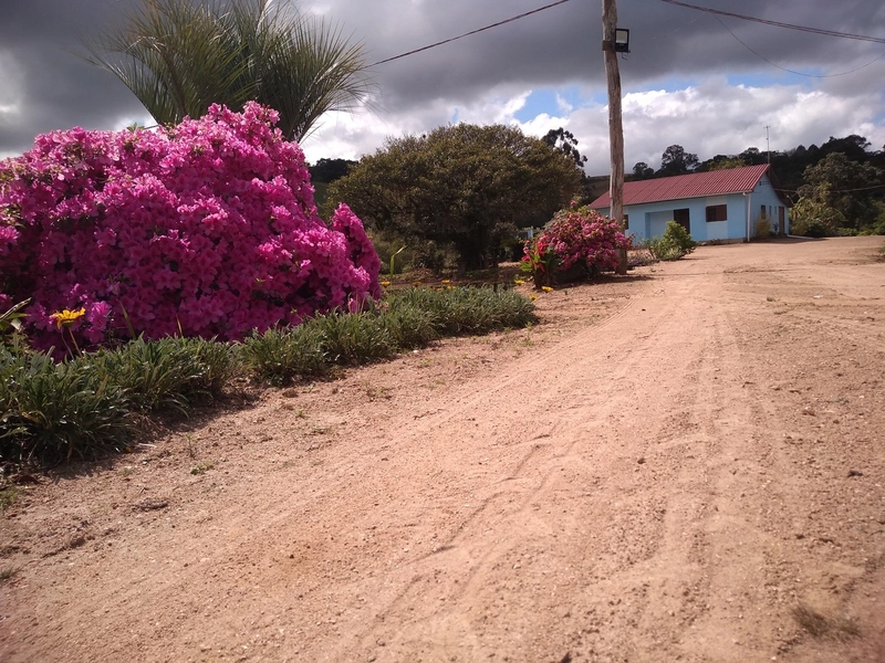 Área Rural para venda em Camaquã: 5ª foto da galeria de imagens do imóvel