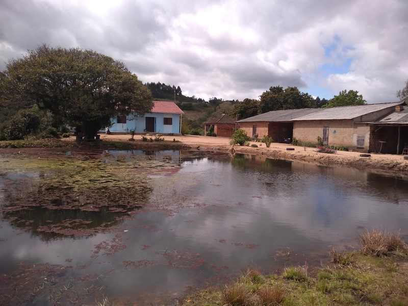 Área Rural para venda em Camaquã: 3ª foto da galeria de imagens do imóvel
