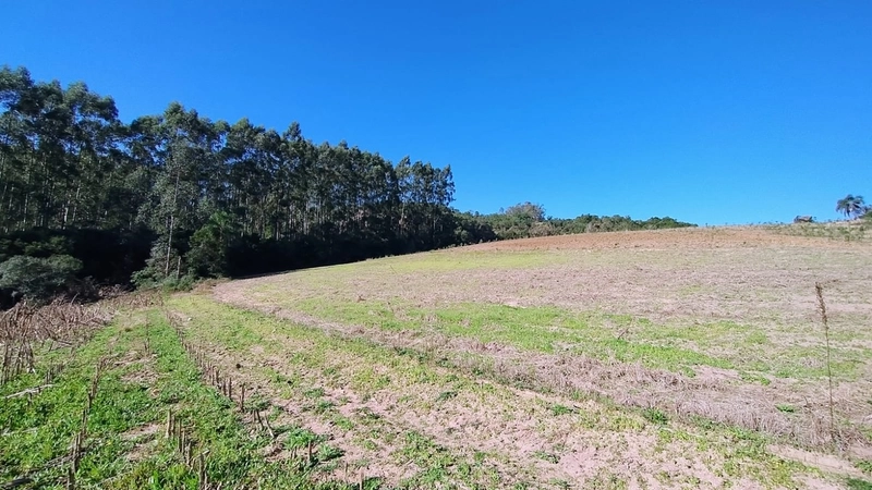 Boa oportunidade para fumicultura no interior da Chuvisca!: 3ª foto da galeria de imagens do imóvel