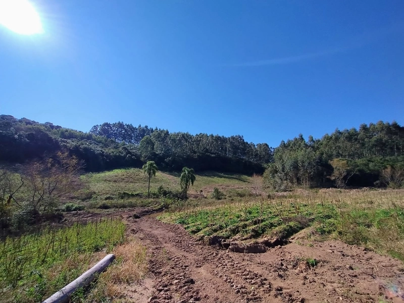 Boa oportunidade para fumicultura no interior da Chuvisca!: 5ª foto da galeria de imagens do imóvel