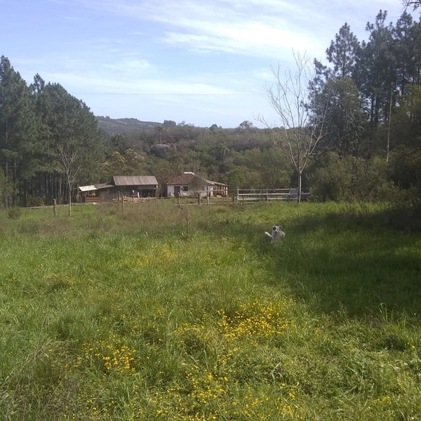 Chácara á 10km da cidade.: 6ª foto da galeria de imagens do imóvel
