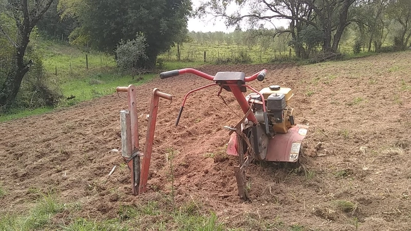 Chácara á 10km da cidade.: 4ª foto da galeria de imagens do imóvel