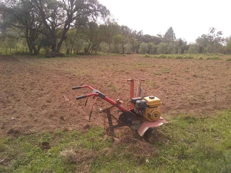 Chácara á 10km da cidade.: 5ª foto da galeria de imagens do imóvel