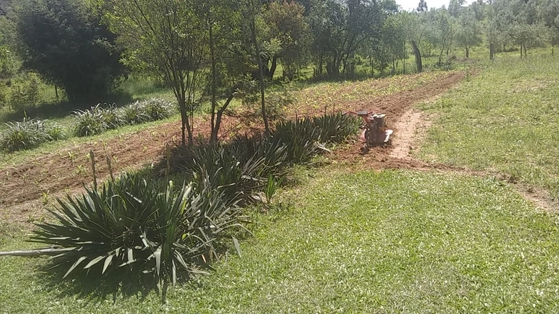 Chácara á 10km da cidade.: 8ª foto da galeria de imagens do imóvel