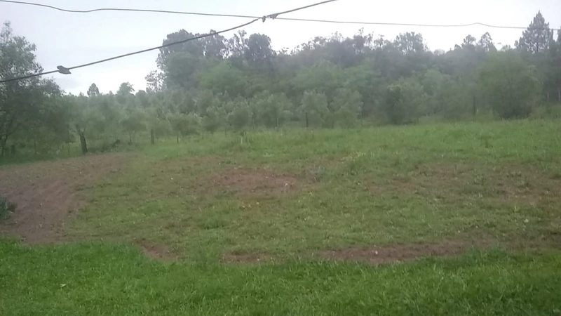 Chácara á 10km da cidade.: 7ª foto da galeria de imagens do imóvel