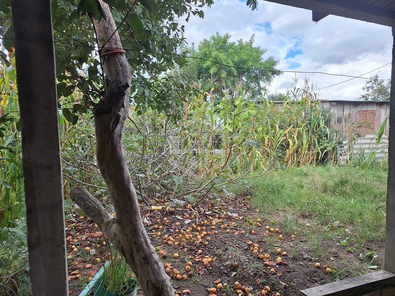 CASA COM CHURRASQUEIRA E PÁTIO AMPLO.: 6ª foto da galeria de imagens do imóvel