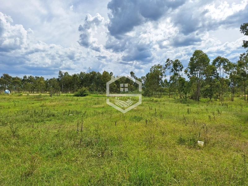 TERRENO PLANO PRONTO PARA CONSTRUIR: 2ª foto da galeria de imagens do imóvel