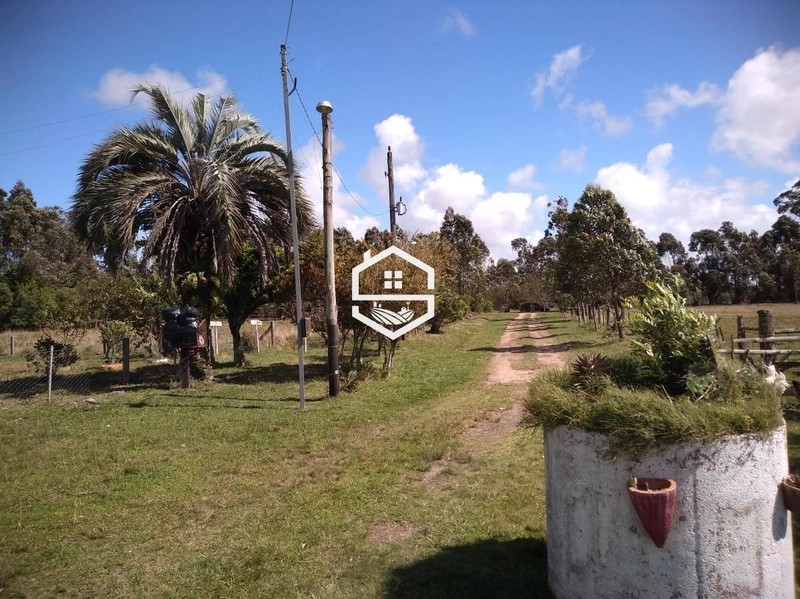 Área Rural para venda em Arambaré: 1ª foto da galeria de imagens do imóvel