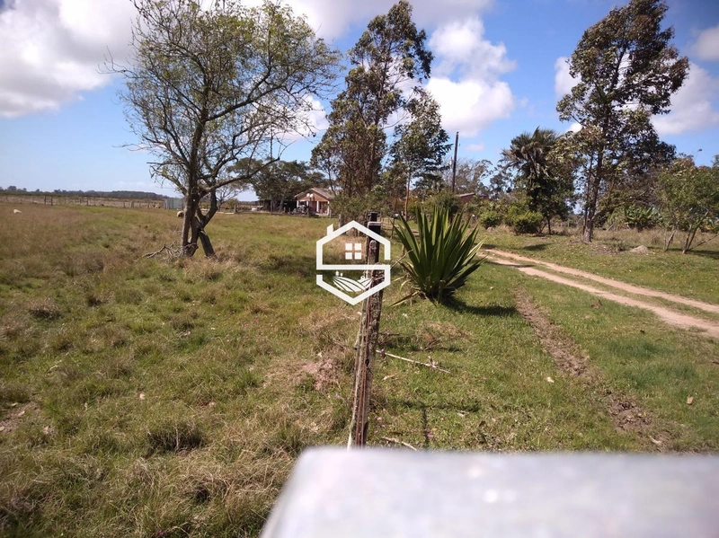 Área Rural para venda em Arambaré: 2ª foto da galeria de imagens do imóvel