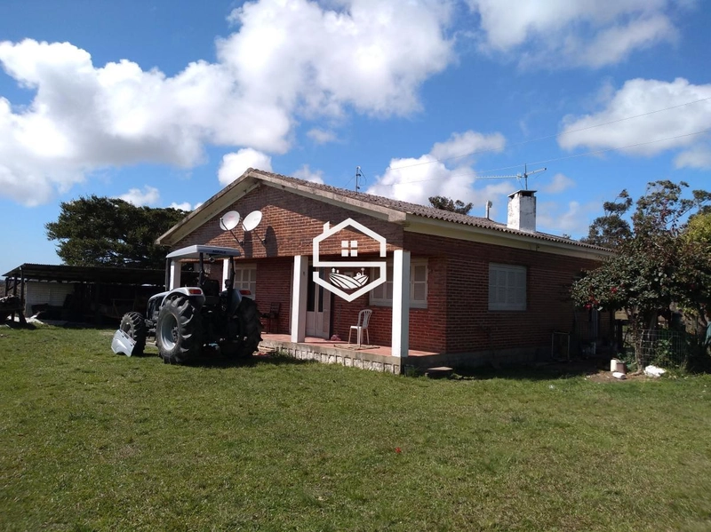 Área Rural para venda em Arambaré: 3ª foto da galeria de imagens do imóvel