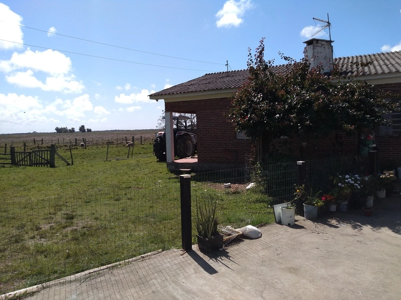 Área Rural para venda em Arambaré: 4ª foto da galeria de imagens do imóvel