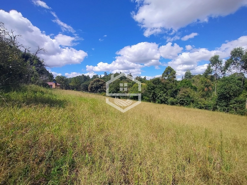 2,08ha no 5° Distrito, Santa Auta.: 11ª foto da galeria de imagens do imóvel