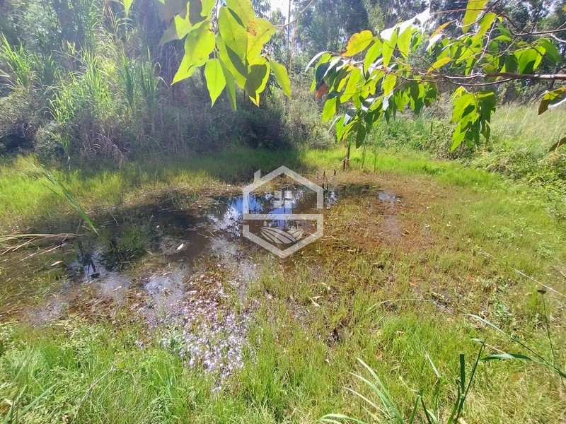 2,08ha no 5° Distrito, Santa Auta.: 13ª foto da galeria de imagens do imóvel