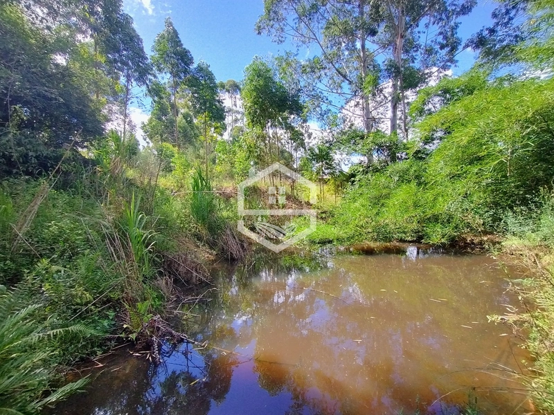 2,08ha no 5° Distrito, Santa Auta.: 14ª foto da galeria de imagens do imóvel