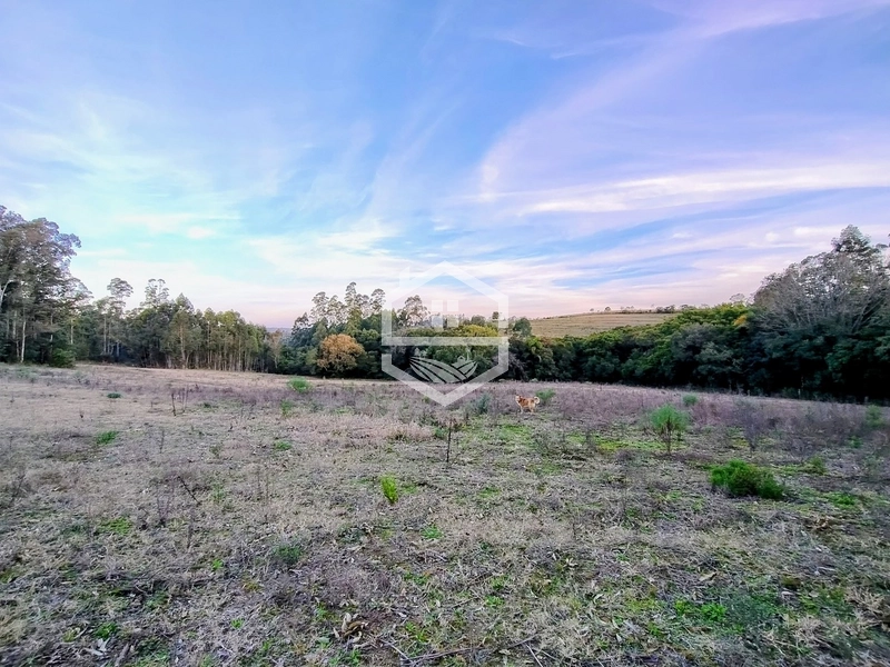 -Propriedade com 12,7 ha, Aptidão Agrosilvipastoril -: 9ª foto da galeria de imagens do imóvel