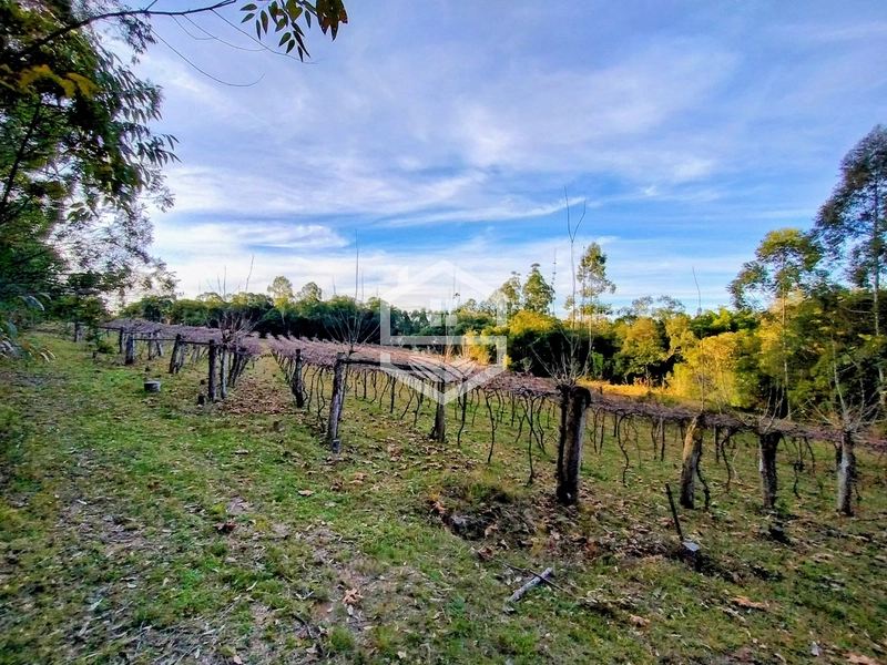 -Propriedade com 12,7 ha, Aptidão Agrosilvipastoril -: 2ª foto da galeria de imagens do imóvel