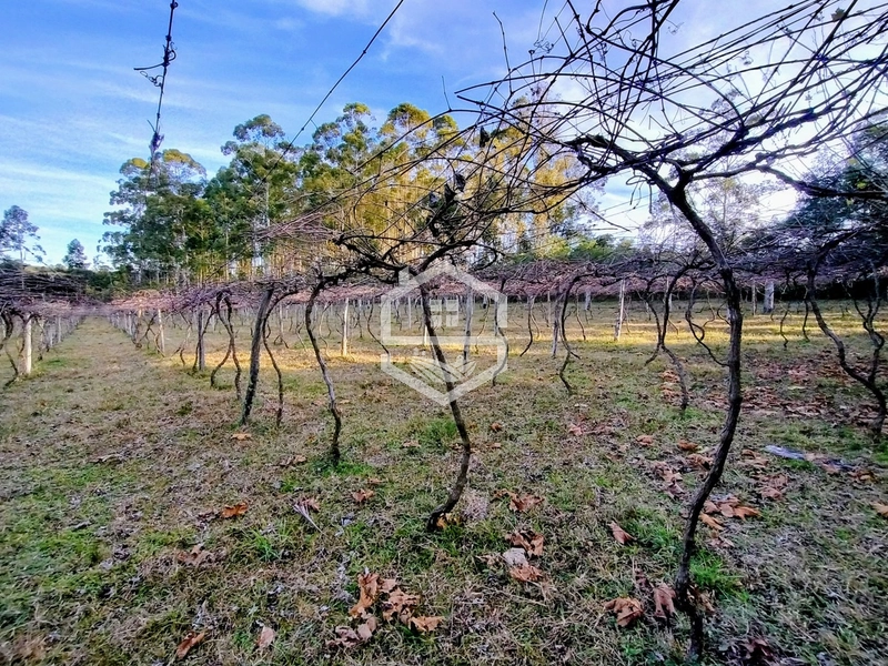 -Propriedade com 12,7 ha, Aptidão Agrosilvipastoril -: 1ª foto da galeria de imagens do imóvel