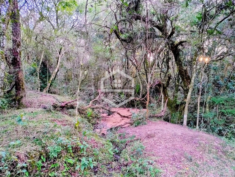 -Propriedade com 12,7 ha, Aptidão Agrosilvipastoril -: 3ª foto da galeria de imagens do imóvel