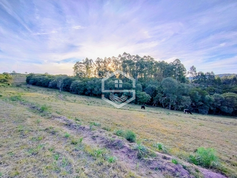 -Propriedade com 12,7 ha, Aptidão Agrosilvipastoril -: 5ª foto da galeria de imagens do imóvel