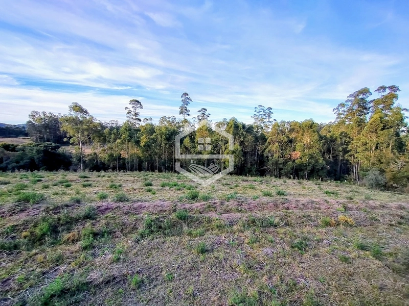 -Propriedade com 12,7 ha, Aptidão Agrosilvipastoril -: 7ª foto da galeria de imagens do imóvel