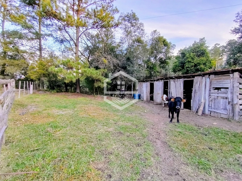 -Propriedade com 12,7 ha, Aptidão Agrosilvipastoril -: 10ª foto da galeria de imagens do imóvel