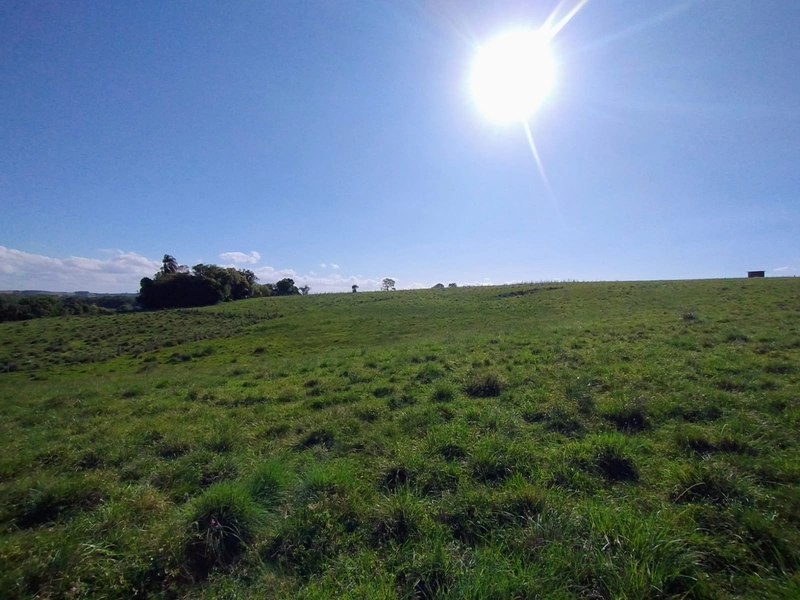 Área com 130ha em Cristal.: 11ª foto da galeria de imagens do imóvel