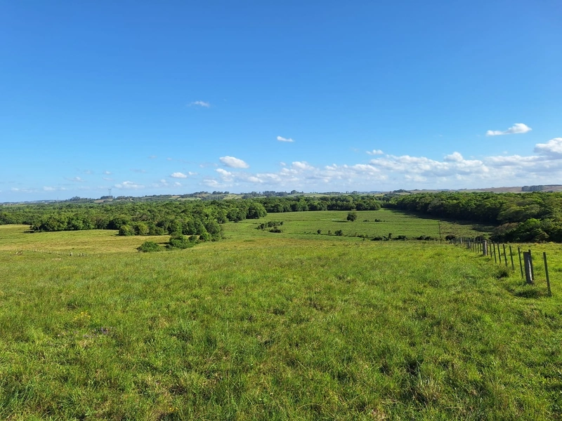 Área com 130ha em Cristal.: 5ª foto da galeria de imagens do imóvel