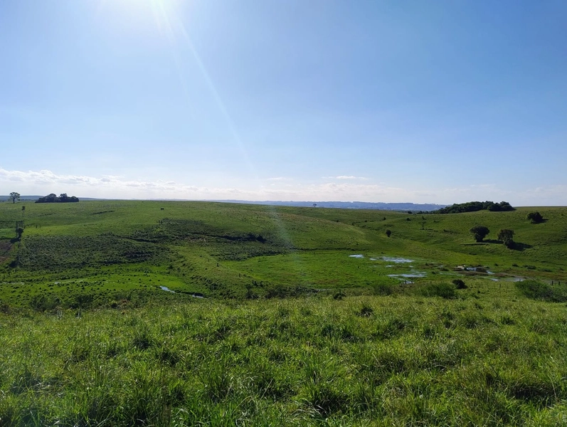 Área com 130ha em Cristal.: 19ª foto da galeria de imagens do imóvel