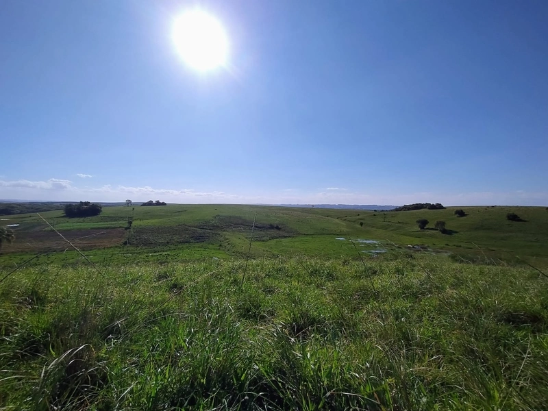 Área com 130ha em Cristal.: 9ª foto da galeria de imagens do imóvel