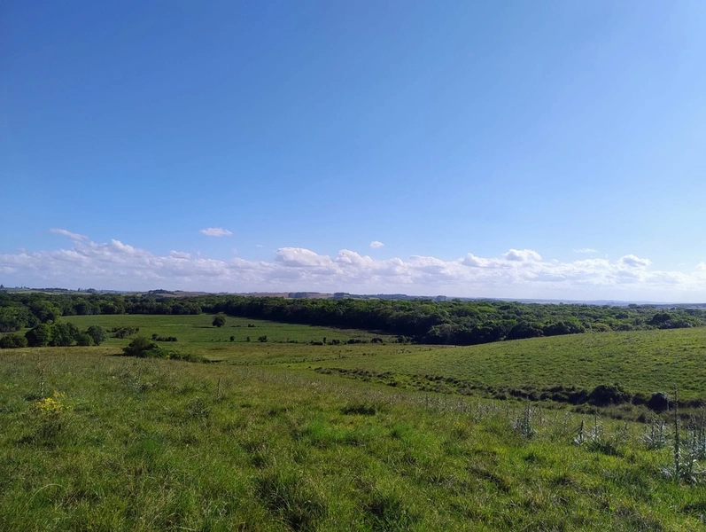 Área com 130ha em Cristal.: 6ª foto da galeria de imagens do imóvel