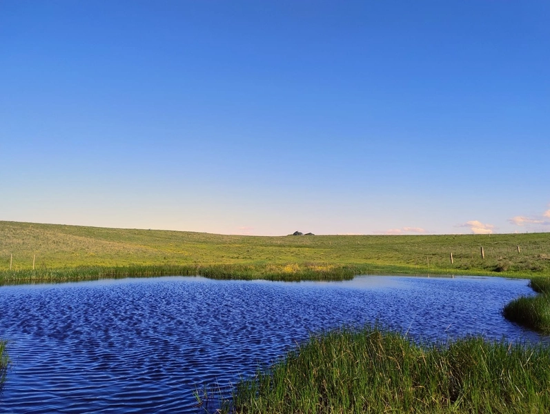 Área com 130ha em Cristal.: 16ª foto da galeria de imagens do imóvel