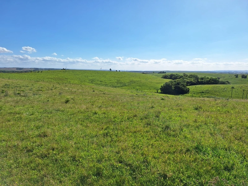 Área com 130ha em Cristal.: 2ª foto da galeria de imagens do imóvel