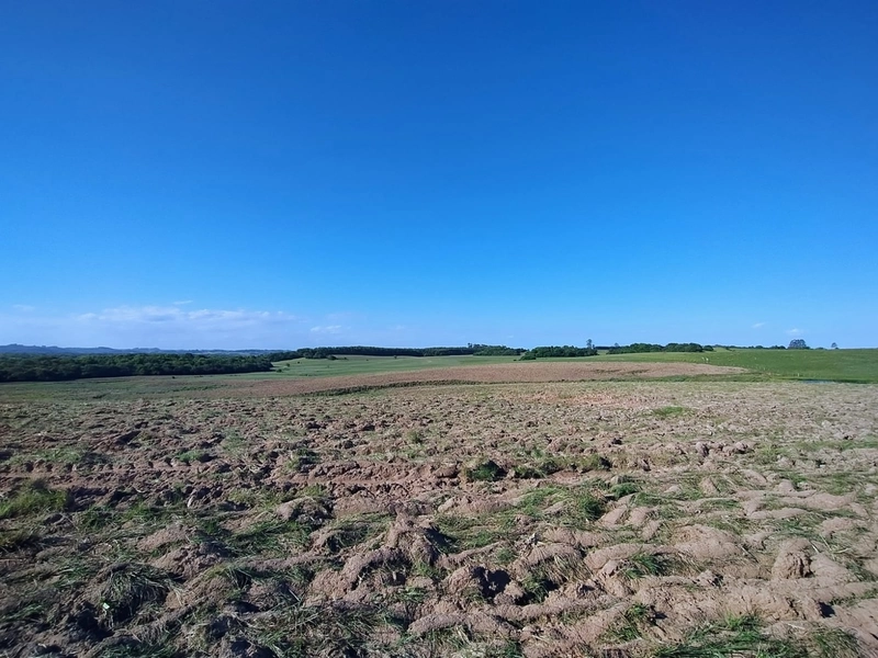 Área com 130ha em Cristal.: 15ª foto da galeria de imagens do imóvel