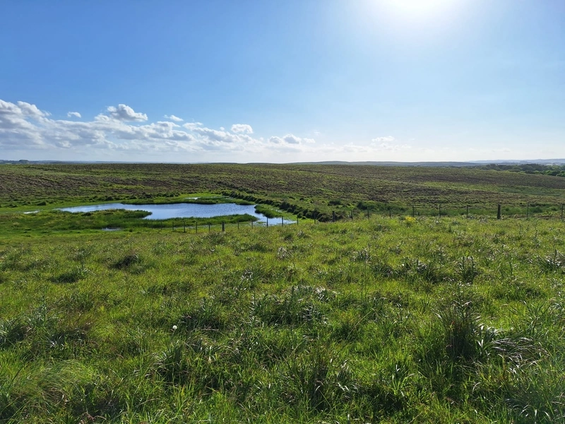 Área com 130ha em Cristal.: 7ª foto da galeria de imagens do imóvel