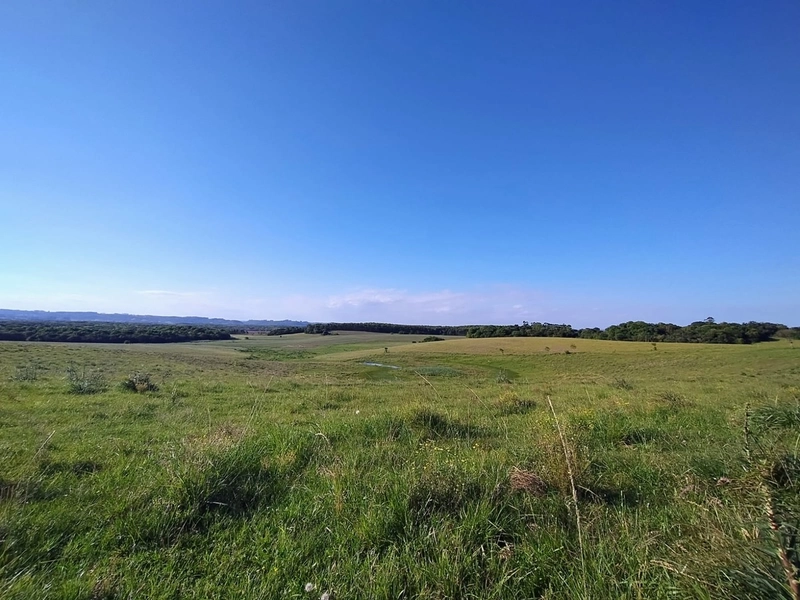 Área com 130ha em Cristal.: 18ª foto da galeria de imagens do imóvel