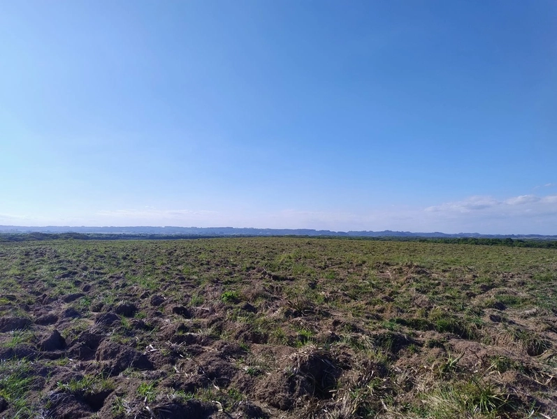 Área com 130ha em Cristal.: 14ª foto da galeria de imagens do imóvel