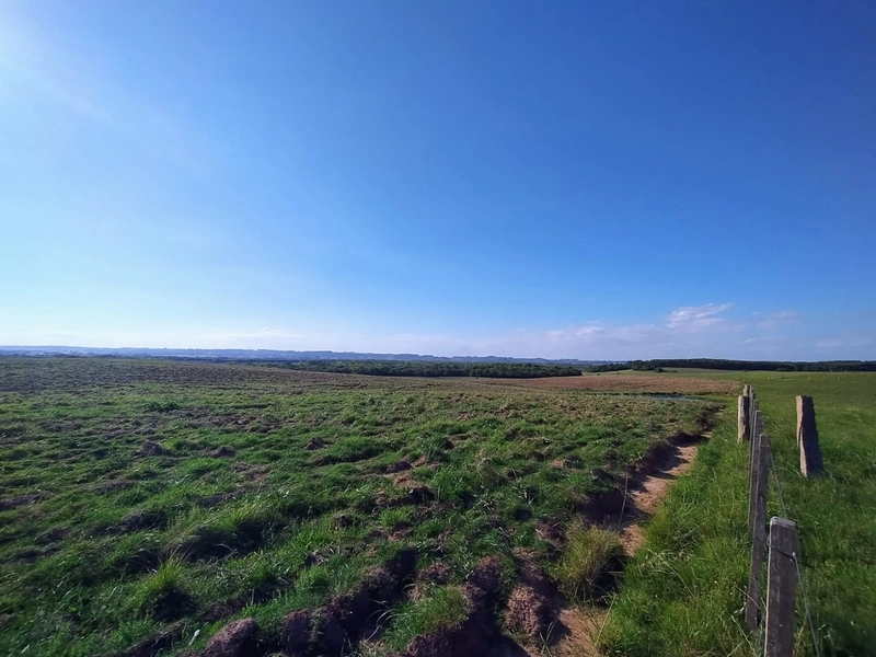 Área com 130ha em Cristal.: 13ª foto da galeria de imagens do imóvel
