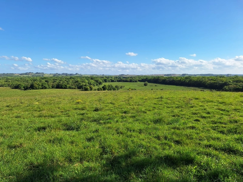 Área com 130ha em Cristal.: 4ª foto da galeria de imagens do imóvel