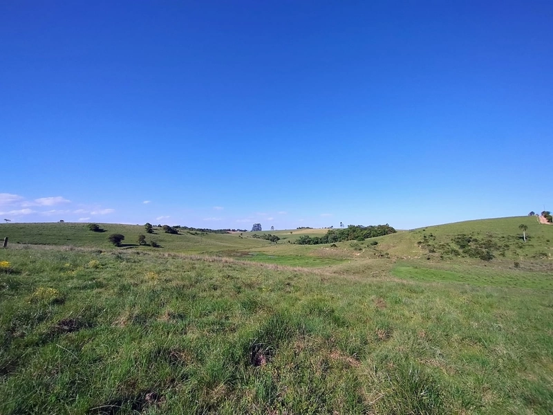 Área com 130ha em Cristal.: 12ª foto da galeria de imagens do imóvel