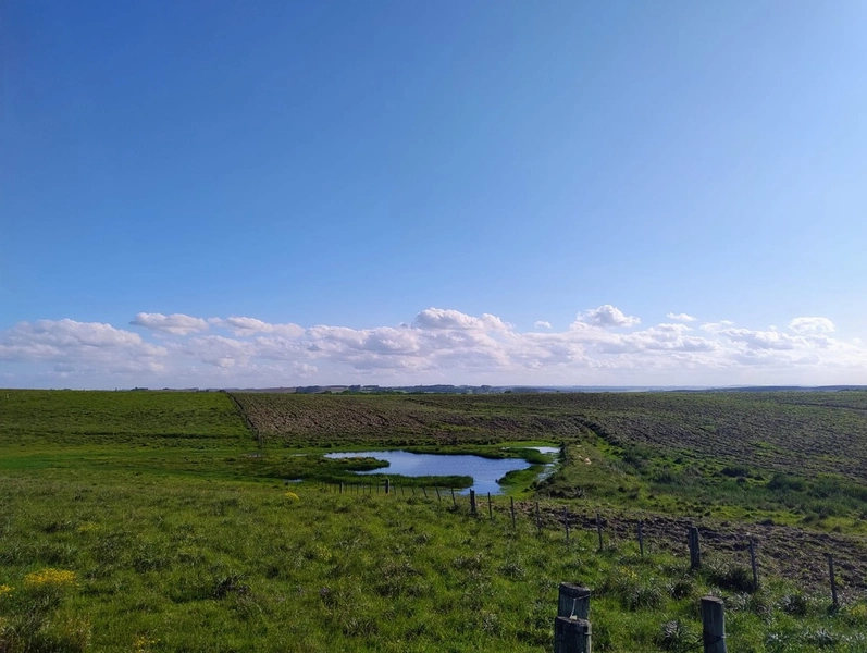 Área com 130ha em Cristal.: 17ª foto da galeria de imagens do imóvel