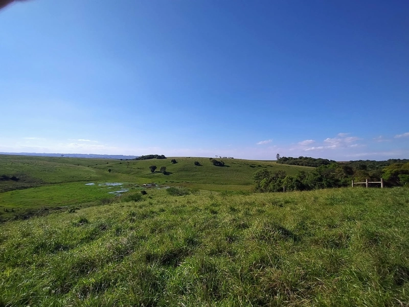 Área com 130ha em Cristal.: 10ª foto da galeria de imagens do imóvel