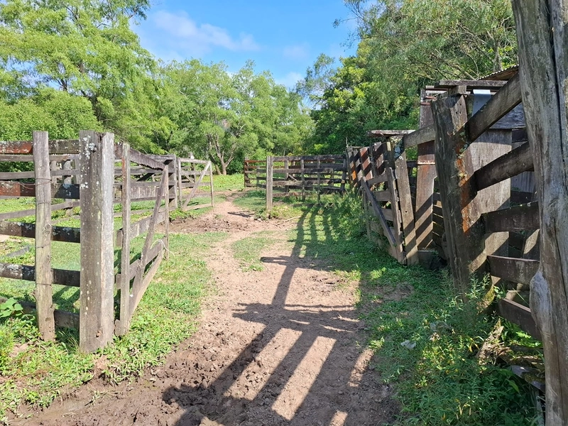 null: 6ª foto da galeria de imagens do imóvel