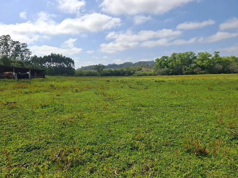 null: 8ª foto da galeria de imagens do imóvel