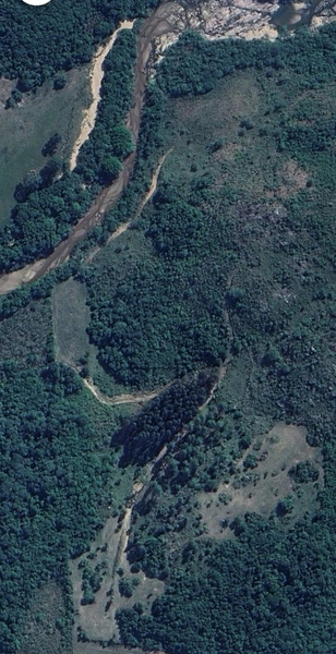 49ha no Faxinal.: 5ª foto da galeria de imagens do imóvel