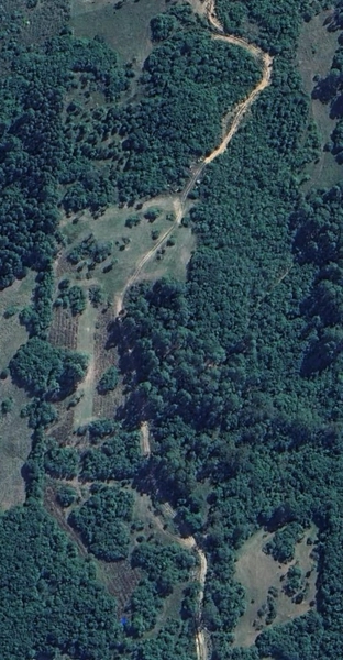 49ha no Faxinal.: 4ª foto da galeria de imagens do imóvel