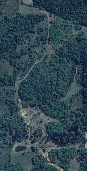 49ha no Faxinal.: 3ª foto da galeria de imagens do imóvel