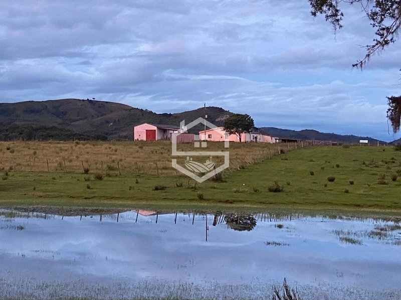 526ha na região sul do RS.: 14ª foto da galeria de imagens do imóvel