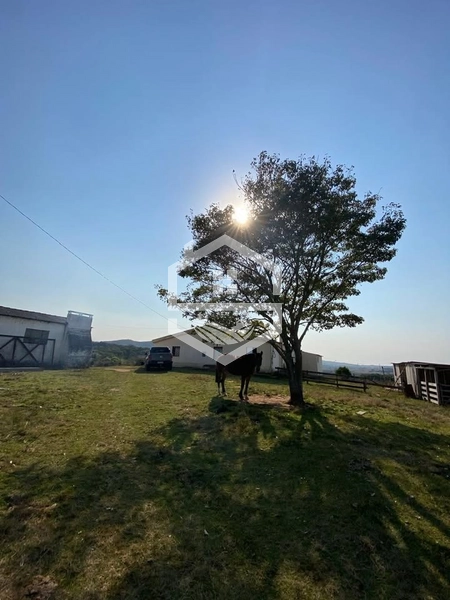 526ha na região sul do RS.: 9ª foto da galeria de imagens do imóvel