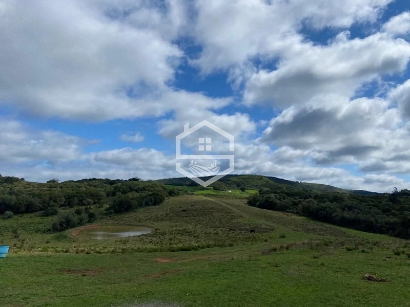 526ha na região sul do RS.: 8ª foto da galeria de imagens do imóvel